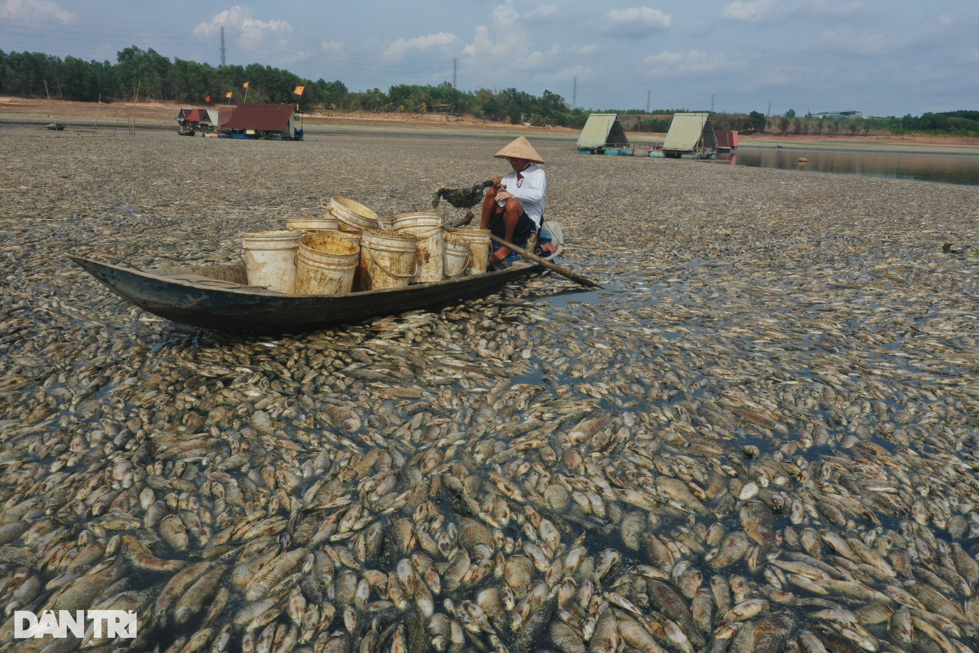 Nước cạn đáy, 200 tấn cá chết trắng hồ Sông Mây ở Đồng Nai - 2