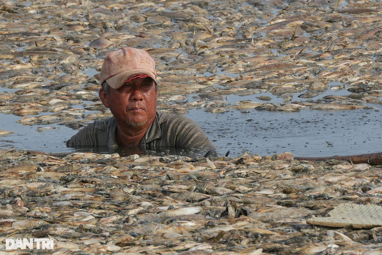 Nước cạn đáy, 200 tấn cá chết trắng hồ Sông Mây ở Đồng Nai - 5