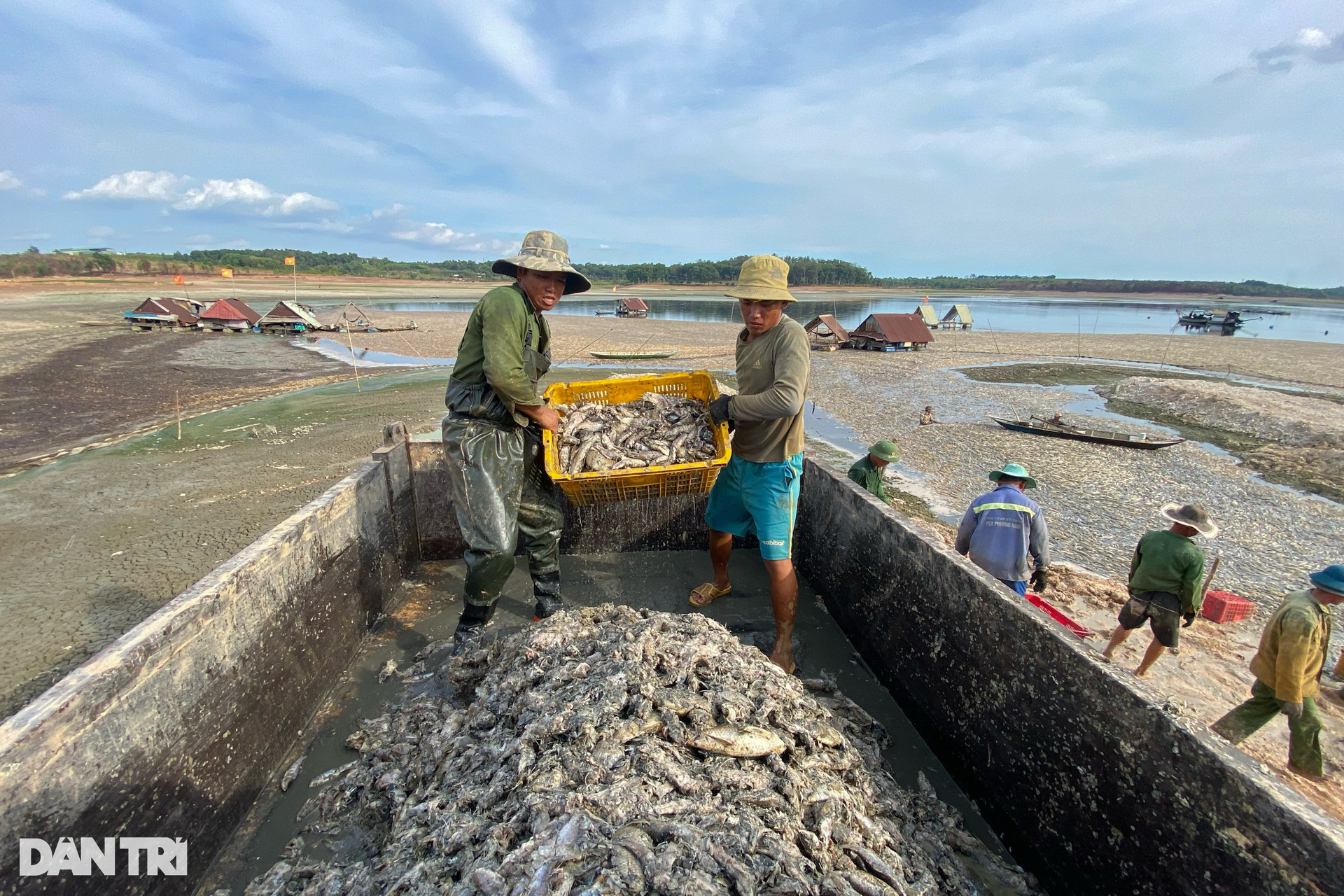 Nước cạn đáy, 200 tấn cá chết trắng hồ Sông Mây ở Đồng Nai - 8