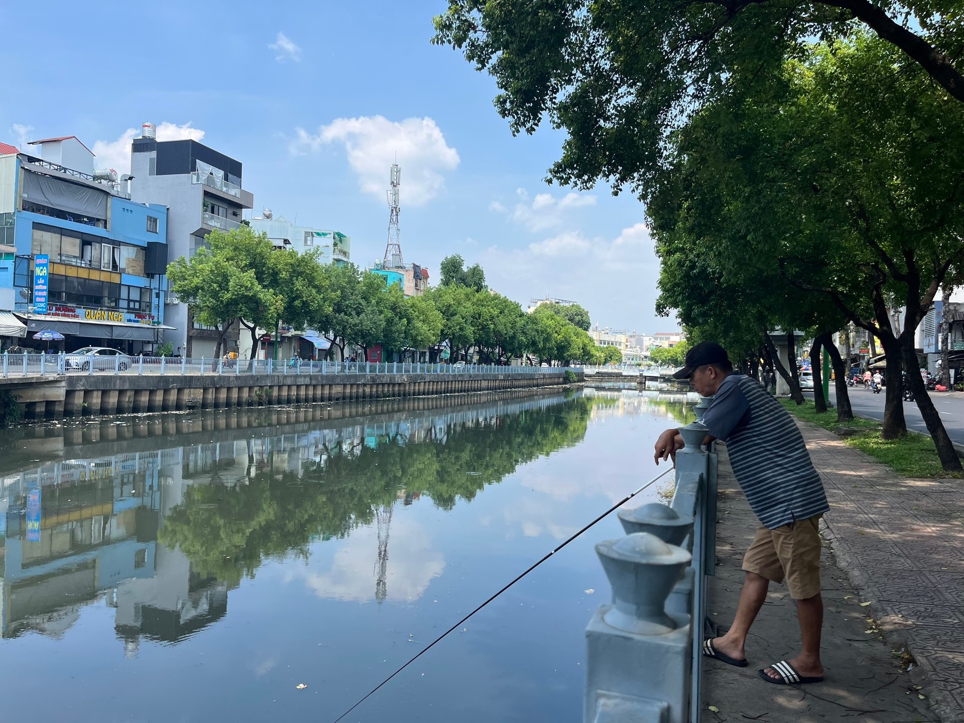 Mới mưa vài ngày, xác cá đã nổi đầy kênh Nhiêu Lộc ảnh 8