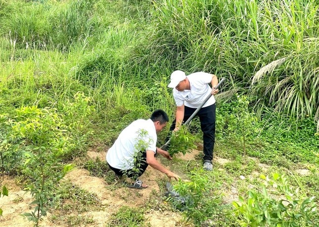 Giữ 'viên ngọc quý' Sơn Trà trước làn sóng du lịch ảnh 3