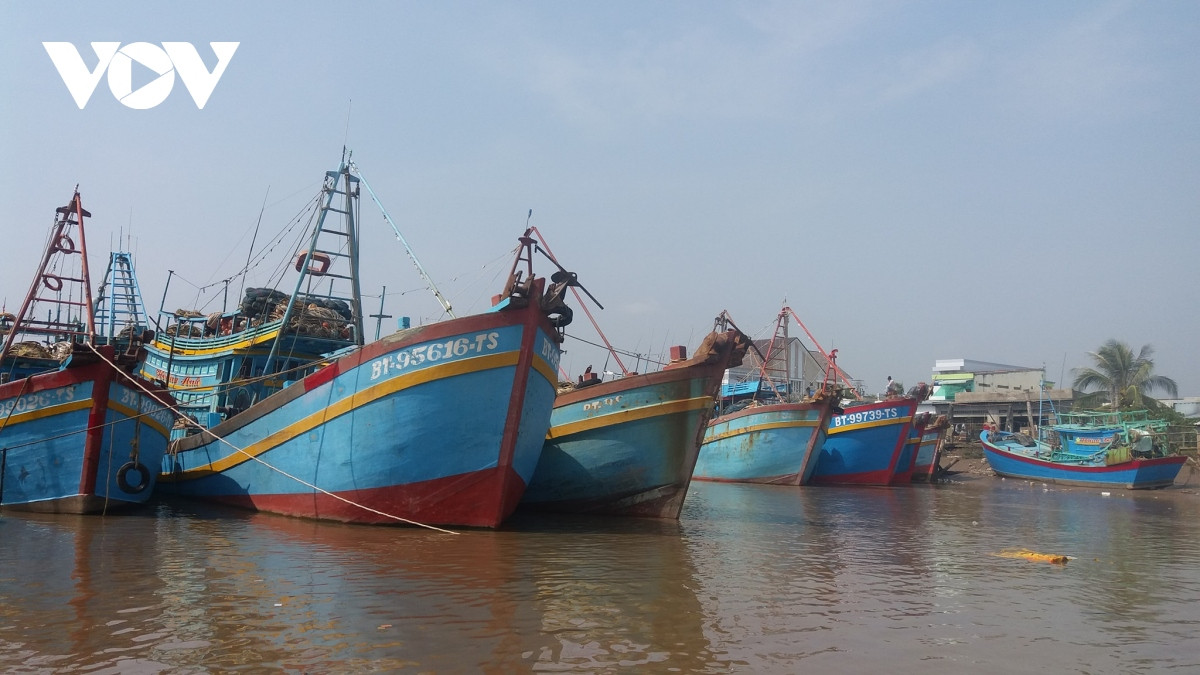 xu phat hon 1 ty dong doi voi ngu dan de tau ca vi pham iuu hinh anh 1