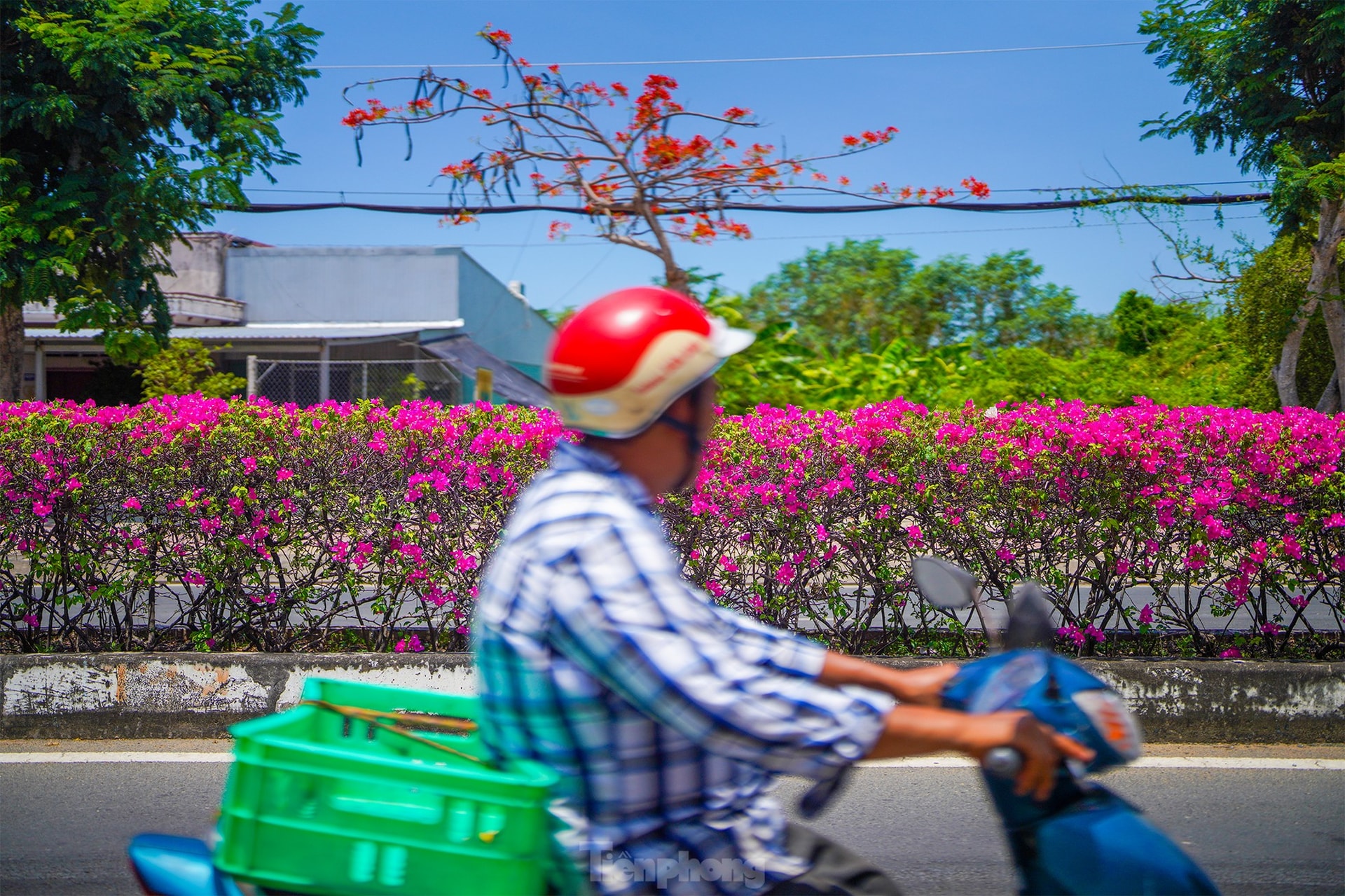 Tuyến đường độc đạo xuyên rừng đẹp như tranh ở TPHCM ảnh 12