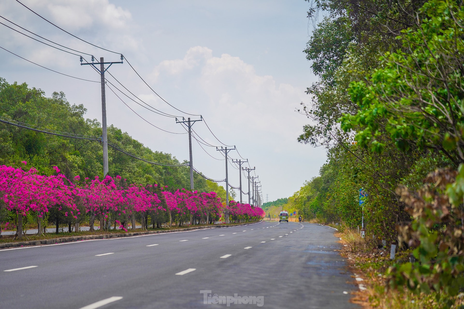 Tuyến đường độc đạo xuyên rừng đẹp như tranh ở TPHCM ảnh 13