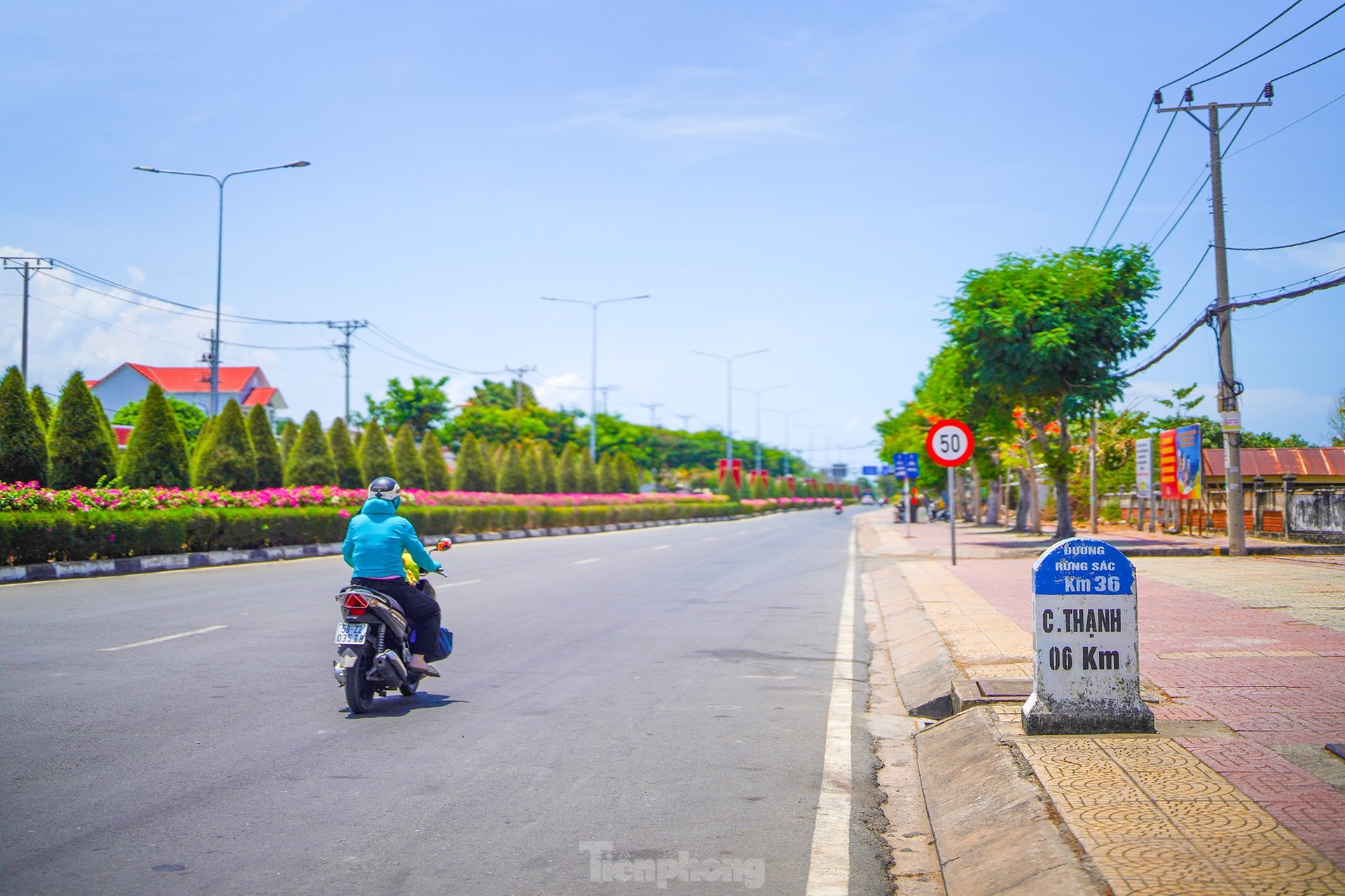 Tuyến đường độc đạo xuyên rừng đẹp như tranh ở TPHCM ảnh 3