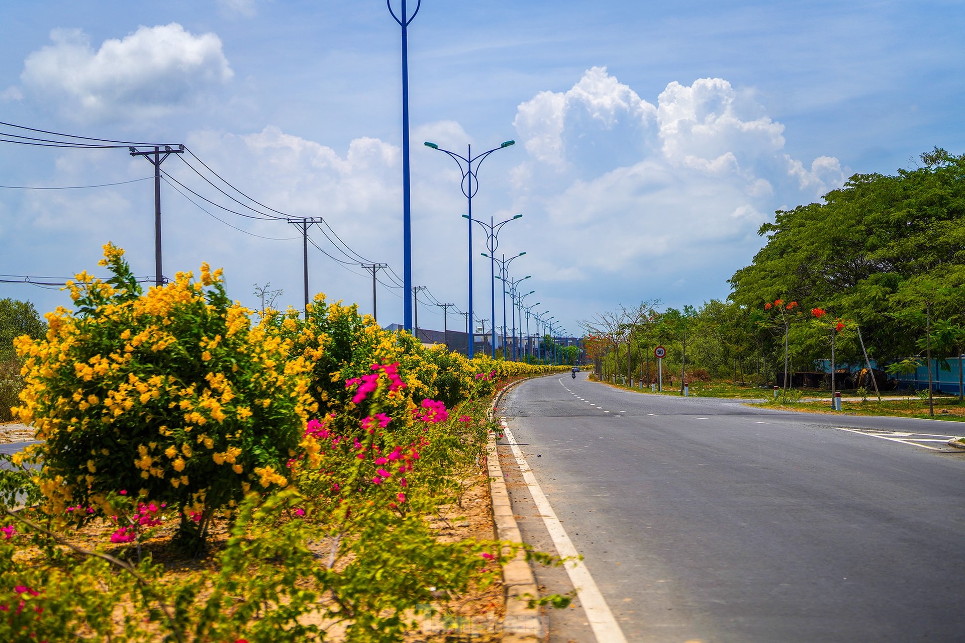 Tuyến đường độc đạo xuyên rừng đẹp như tranh ở TPHCM ảnh 10