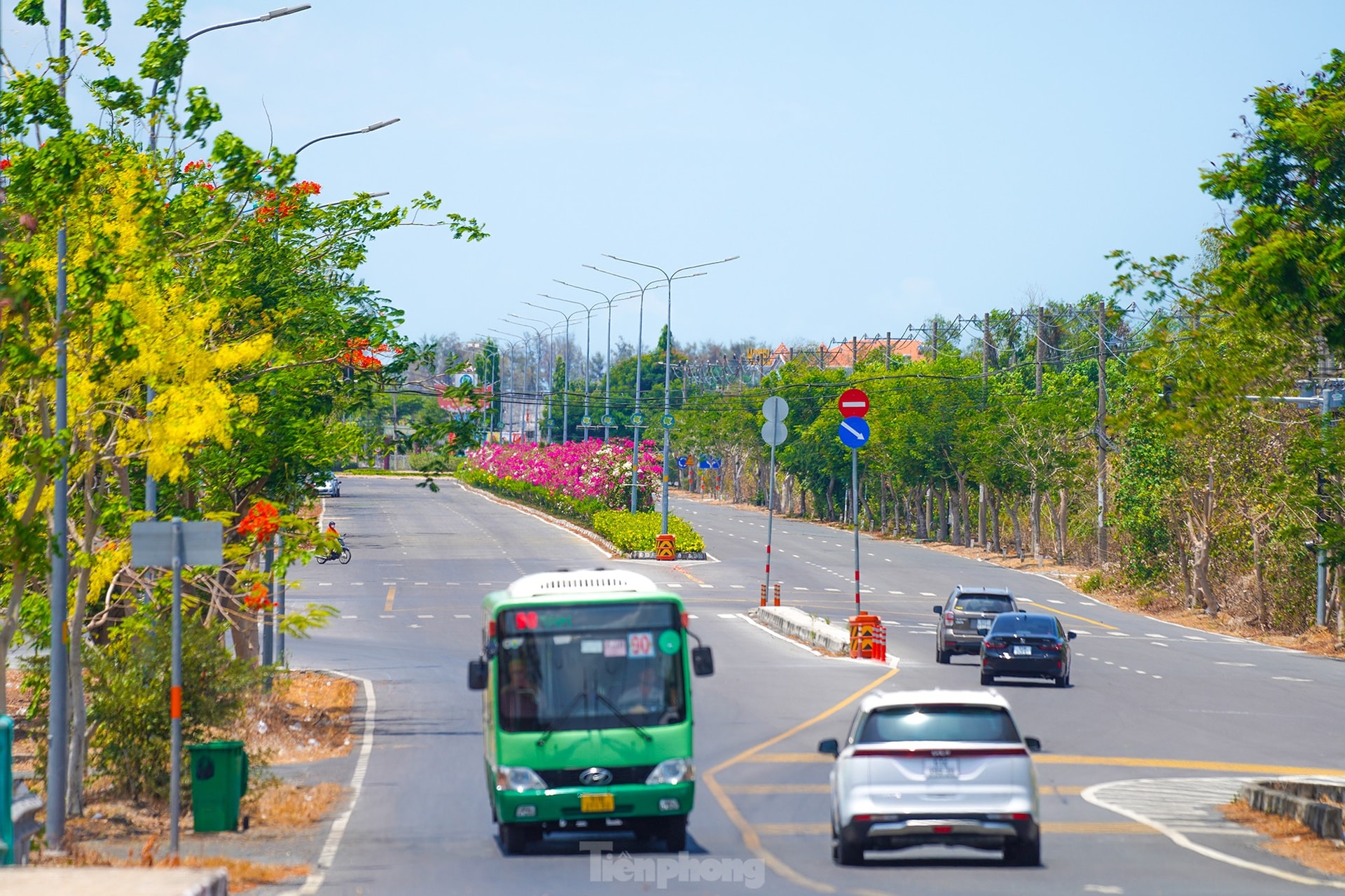 Tuyến đường độc đạo xuyên rừng đẹp như tranh ở TPHCM ảnh 11