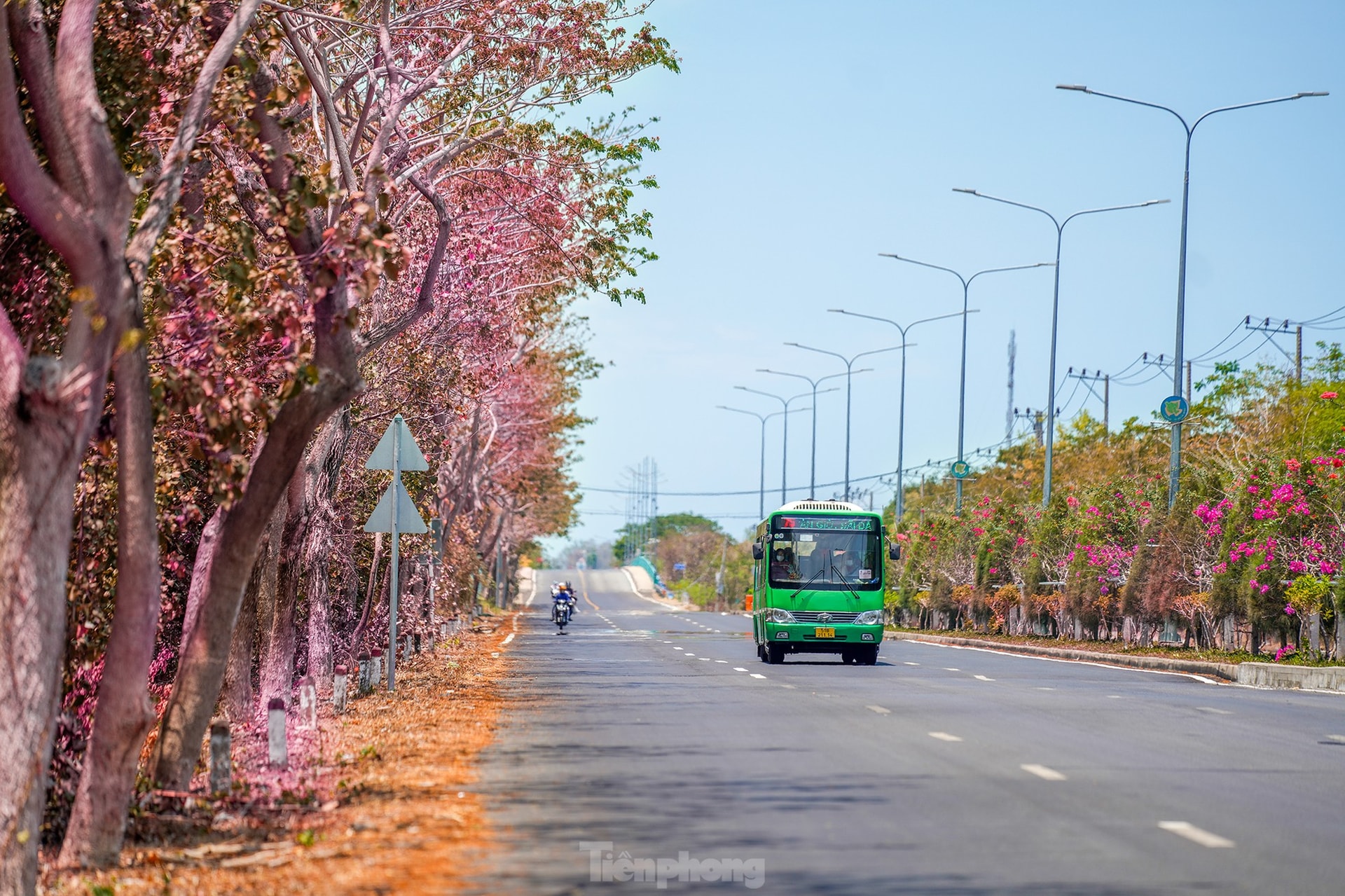 Tuyến đường độc đạo xuyên rừng đẹp như tranh ở TPHCM ảnh 9