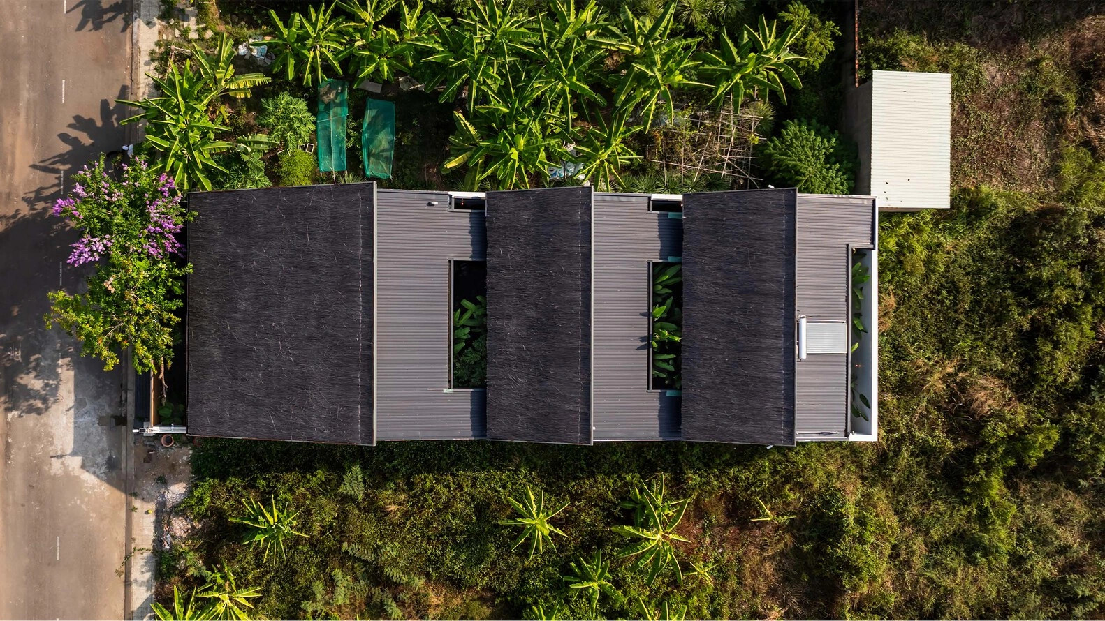 Biệt thự lợp mái tranh giữa vườn chuối xanh mướt tại TPHCM - 2