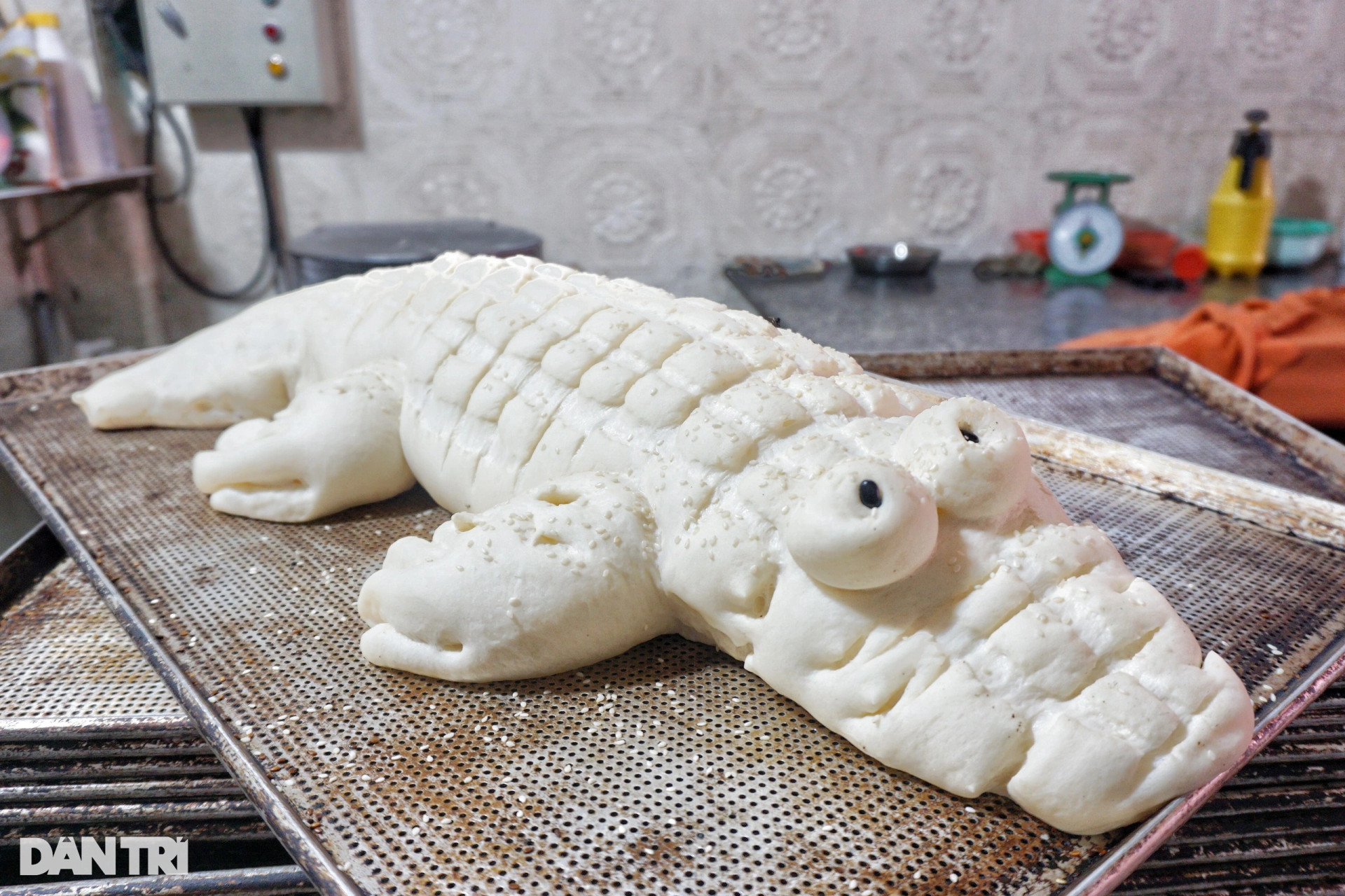 Lò bánh mì cá sấu khổng lồ từng bán gần 600 ổ/ngày ở TPHCM sắp đóng cửa - 2