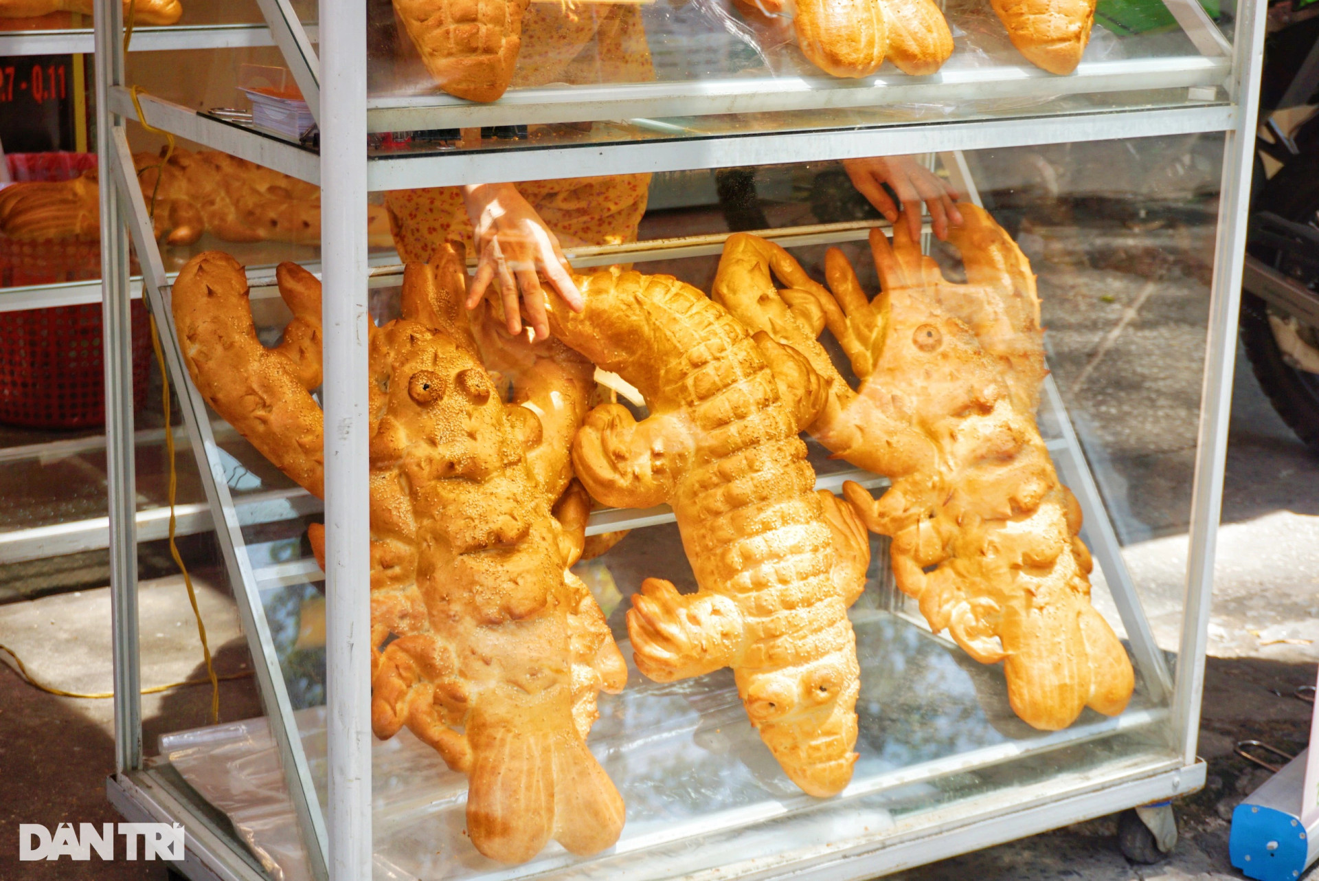 Lò bánh mì cá sấu khổng lồ từng bán gần 600 ổ/ngày ở TPHCM sắp đóng cửa - 1