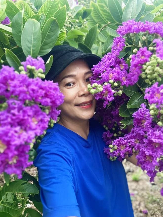 Khu vườn đầu hè của sao Việt: Mỹ Tâm - Mỹ Lệ khoái chí khoe táo xoài đầy vườn, hái vào đầy giỏ-1