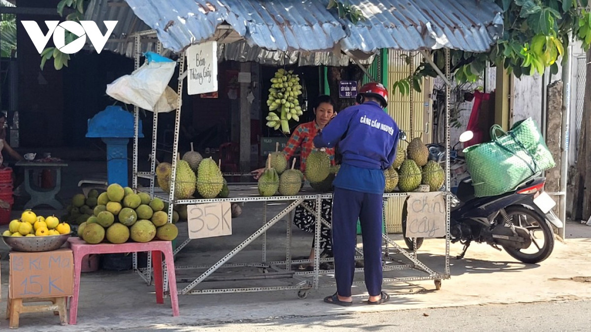 trai sau rieng nghich vu o tien giang khan hang, sot gia hinh anh 1