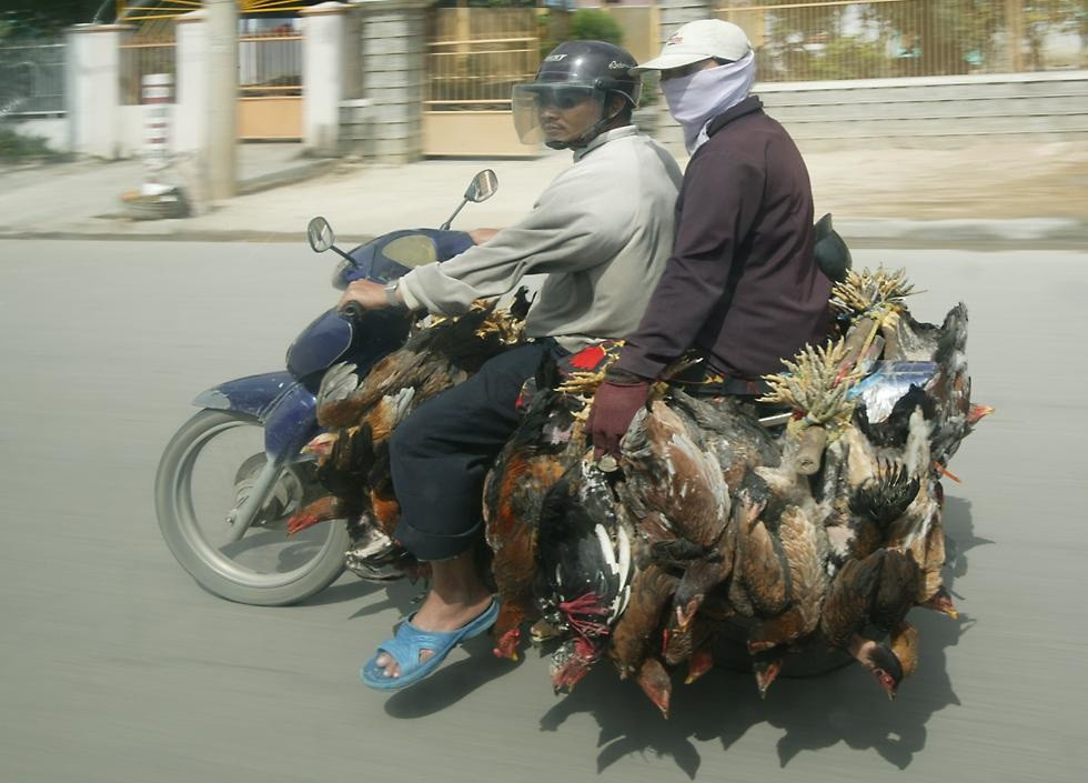 20 năm trước Việt Nam trông thế nào trong mắt của du khách Tây? - 2