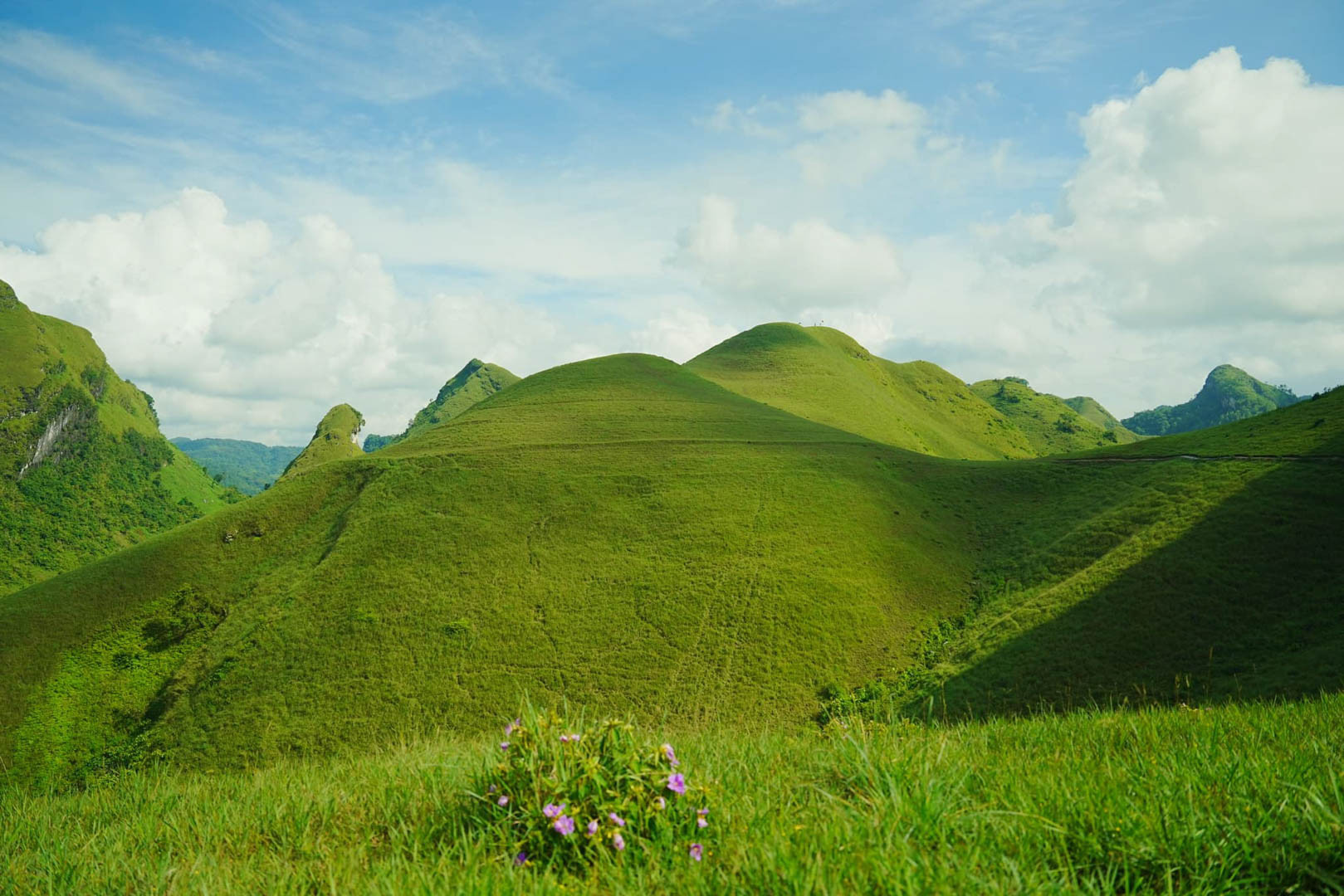 đồi cỏ ba quáng 12.JPG