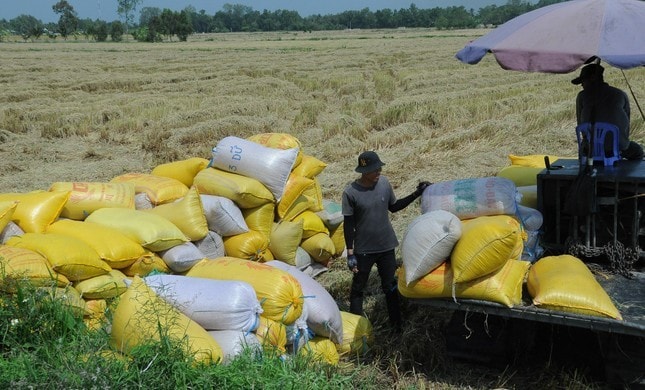 Tìm cách giảm phát thải lương thực ở vựa lúa Đồng bằng sông Cửu Long ảnh 2