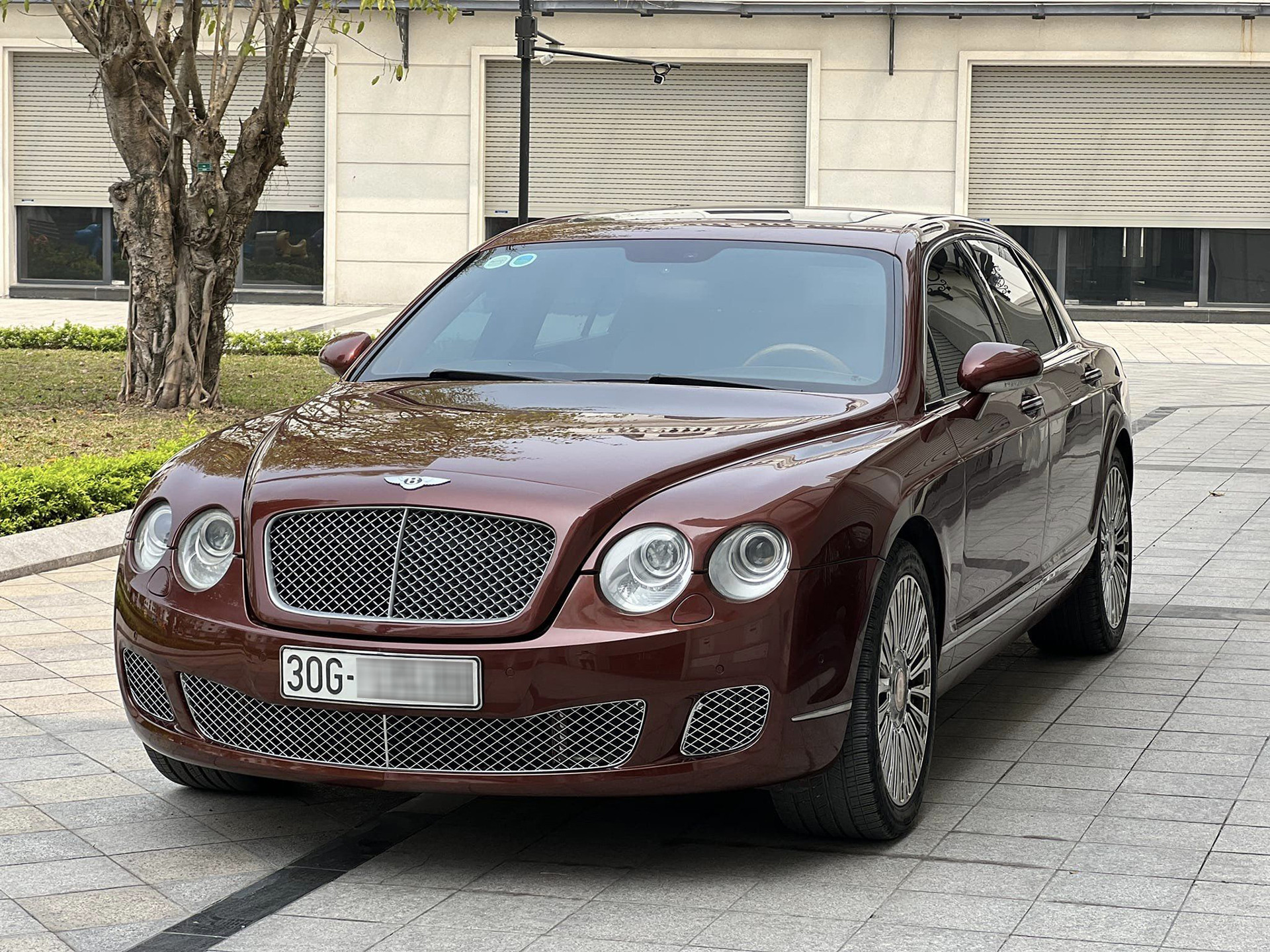 flying spur 1.jpg