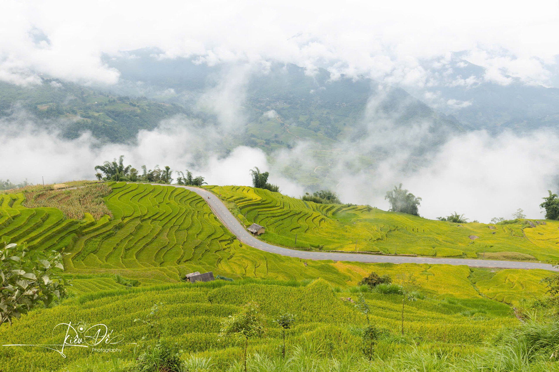 cung duong Lao Cai 2.jpg