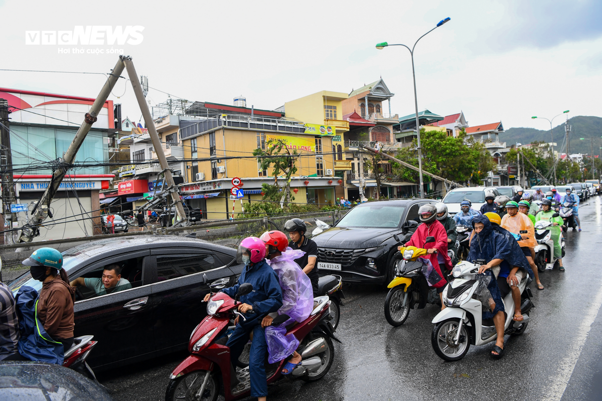 Cột điện gãy đổ nằm la liệt ở TP Cẩm Phả sau siêu bão Yagi - 12