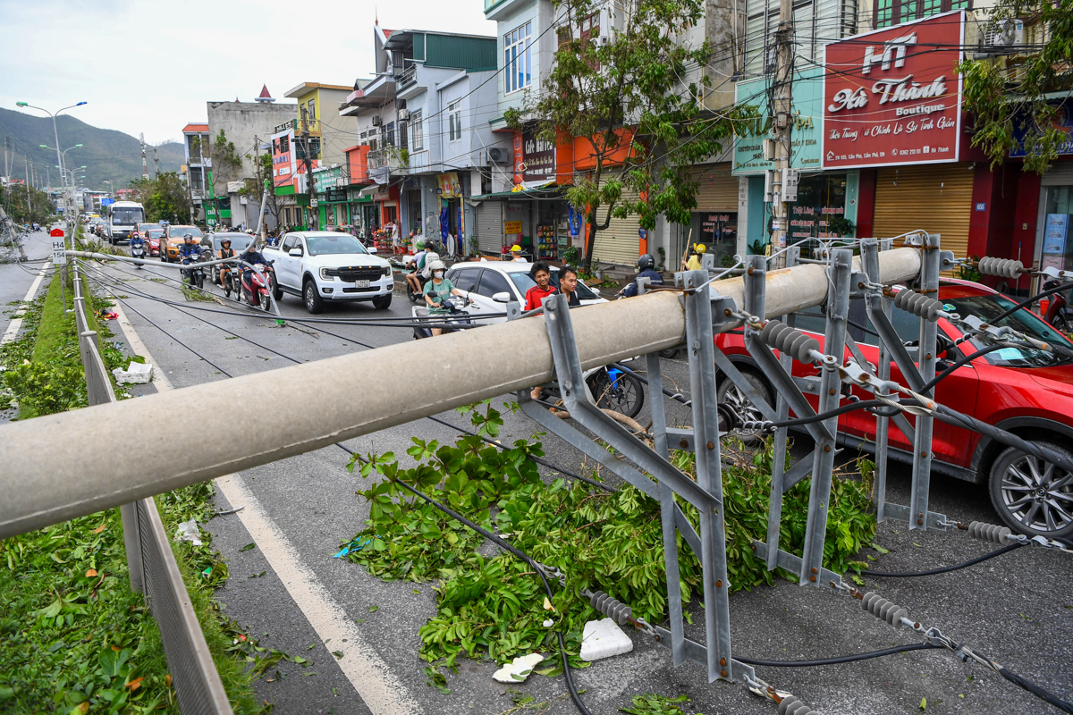 Cột điện gãy đổ nằm la liệt ở TP Cẩm Phả sau siêu bão Yagi - 10