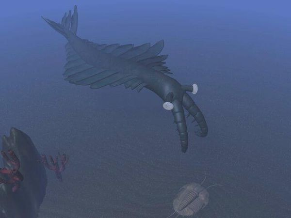 Con Anomalocaris.