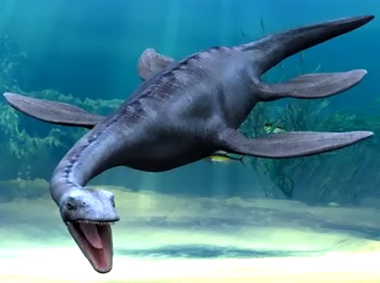 Một con Plesiosaurs.