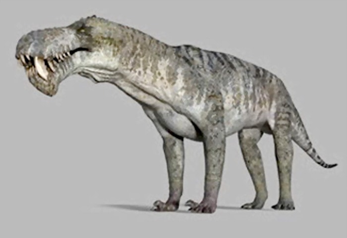 Loài Therapsids.