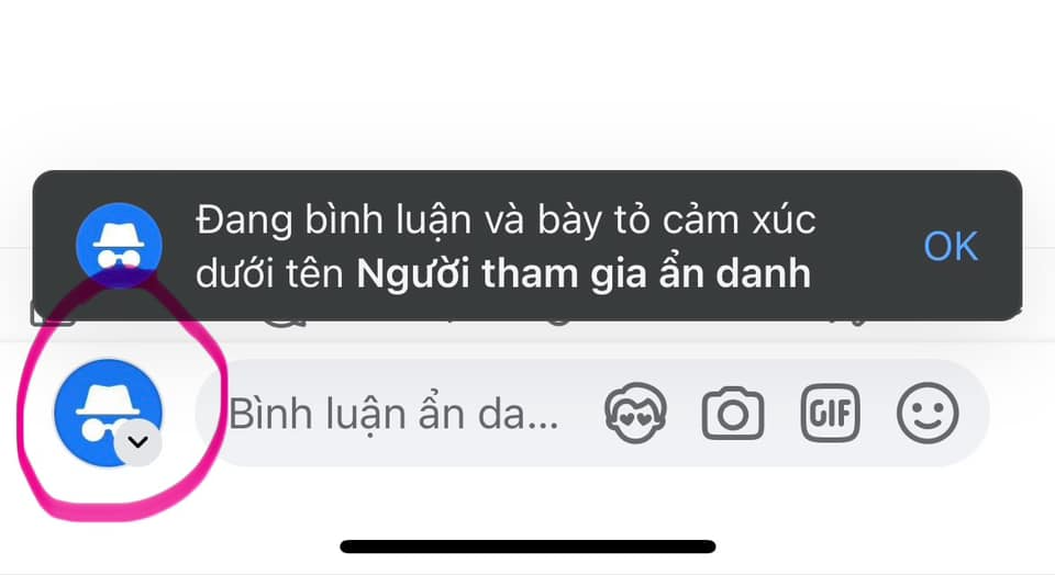 Những tài khoản đã được cập nhật sẽ thấy tùy chọn cho phép chuyển sang chế độ ẩn danh.