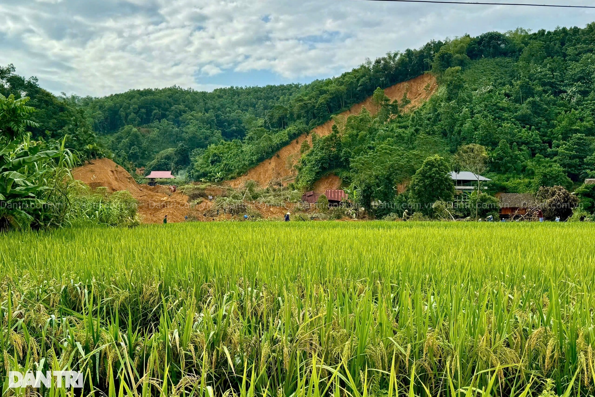 Ông trời đã lấy đi hết tài sản còn cướp cả bà, mẹ và em trai con - 1