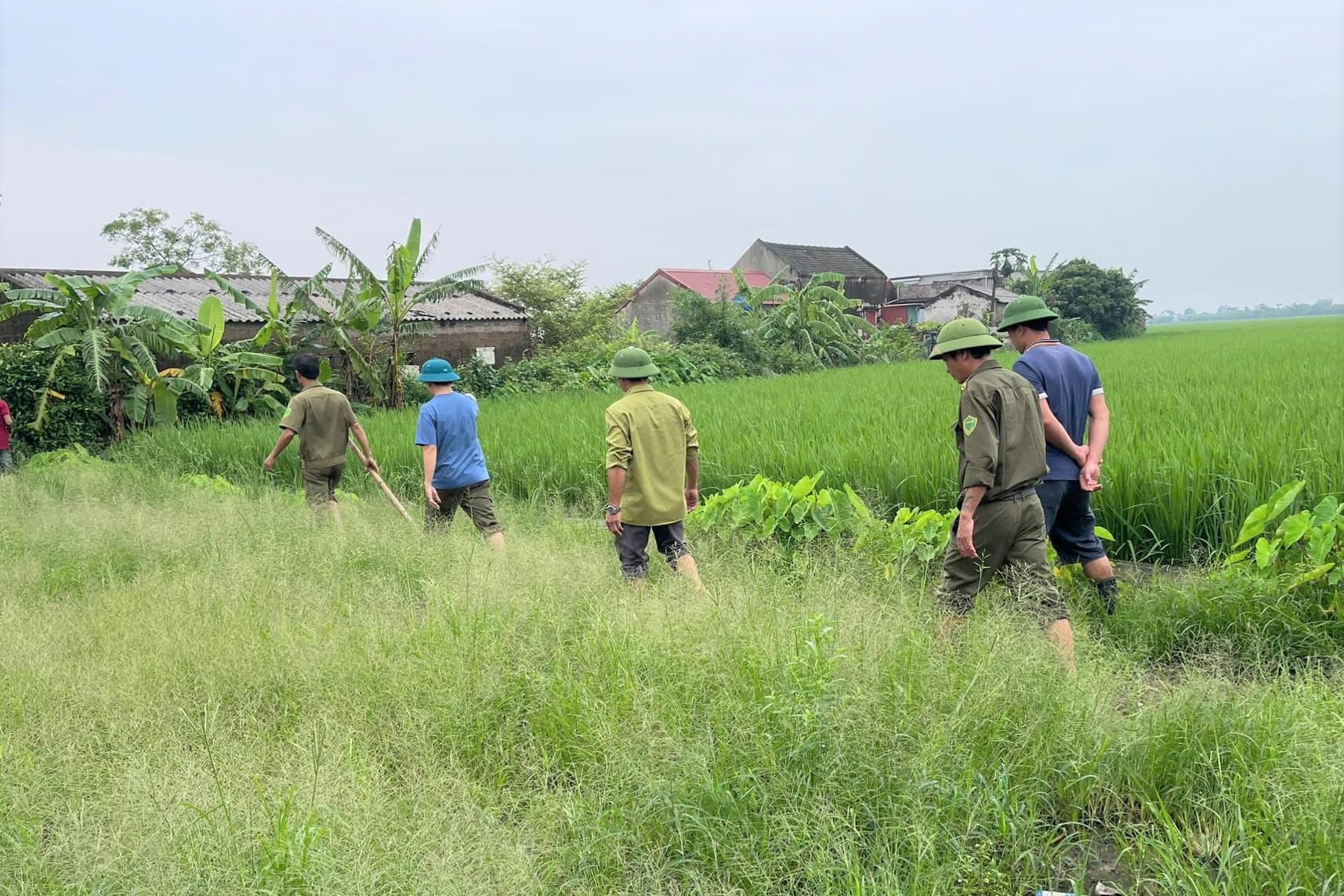 3 anh em ruột mất tích bí ẩn được tìm thấy trong ngôi nhà 2 tầng - 1