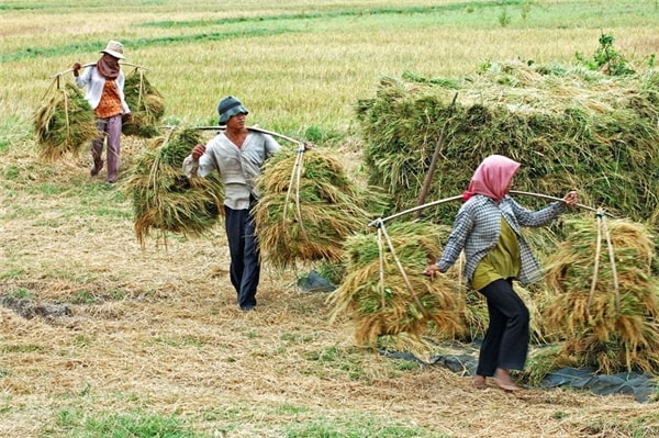 Anh làm không giỏi như người khác nhưng rất chăm chỉ. Ảnh minh họa