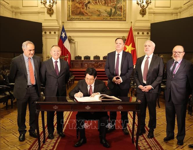Chủ tịch nước Lương Cường hội kiến Chủ tịch Thượng viện Chile- Ảnh 5.