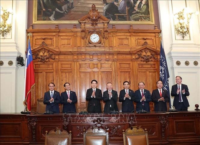 Chủ tịch nước Lương Cường hội kiến Chủ tịch Thượng viện Chile- Ảnh 7.
