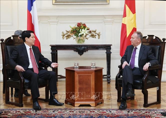 Chủ tịch nước Lương Cường hội kiến Chủ tịch Thượng viện Chile- Ảnh 3.