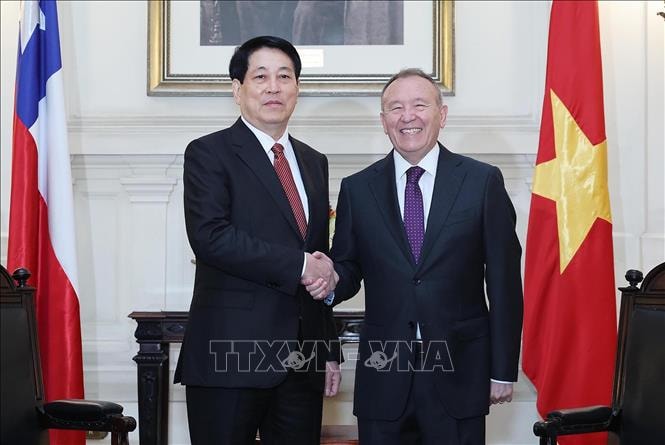 Chủ tịch nước Lương Cường hội kiến Chủ tịch Thượng viện Chile- Ảnh 2.