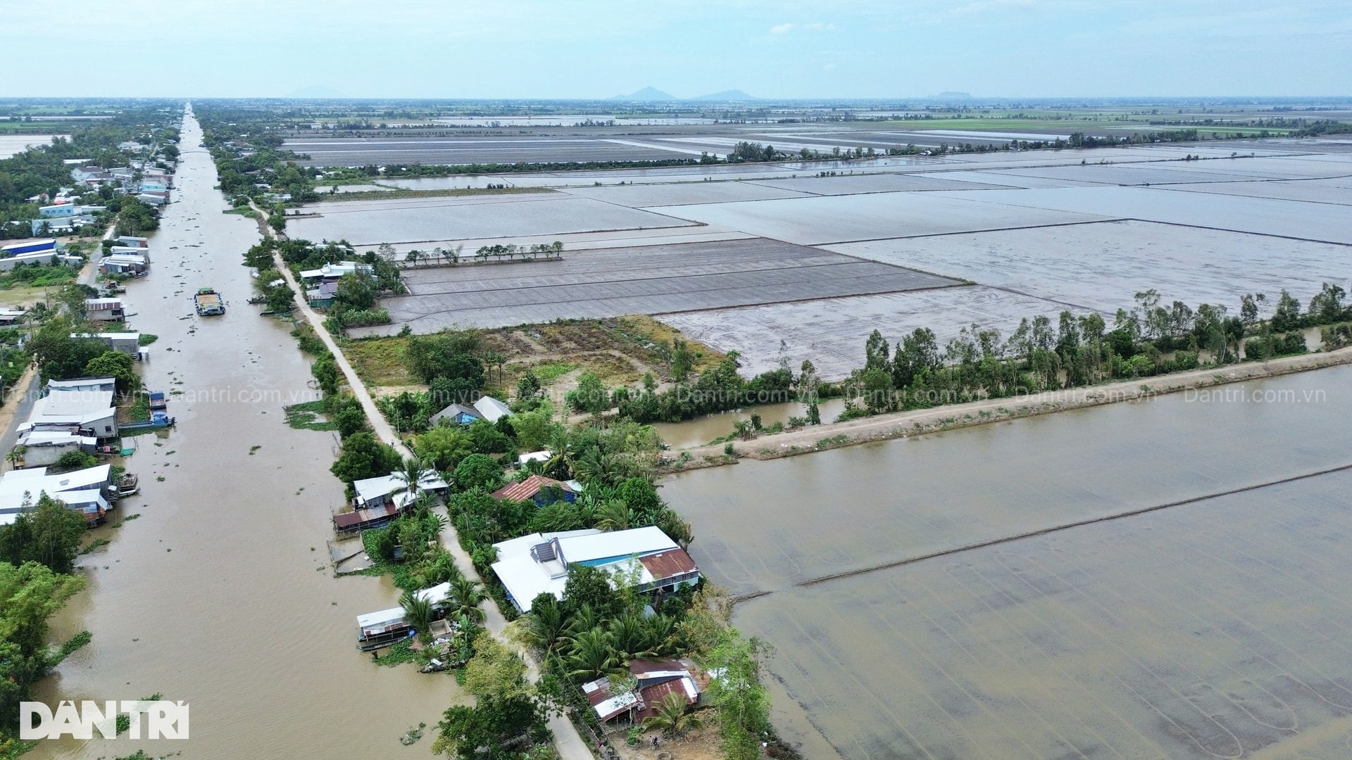 Lời kể người nhà nạn nhân bị máy bay không người lái chém tử vong - 2