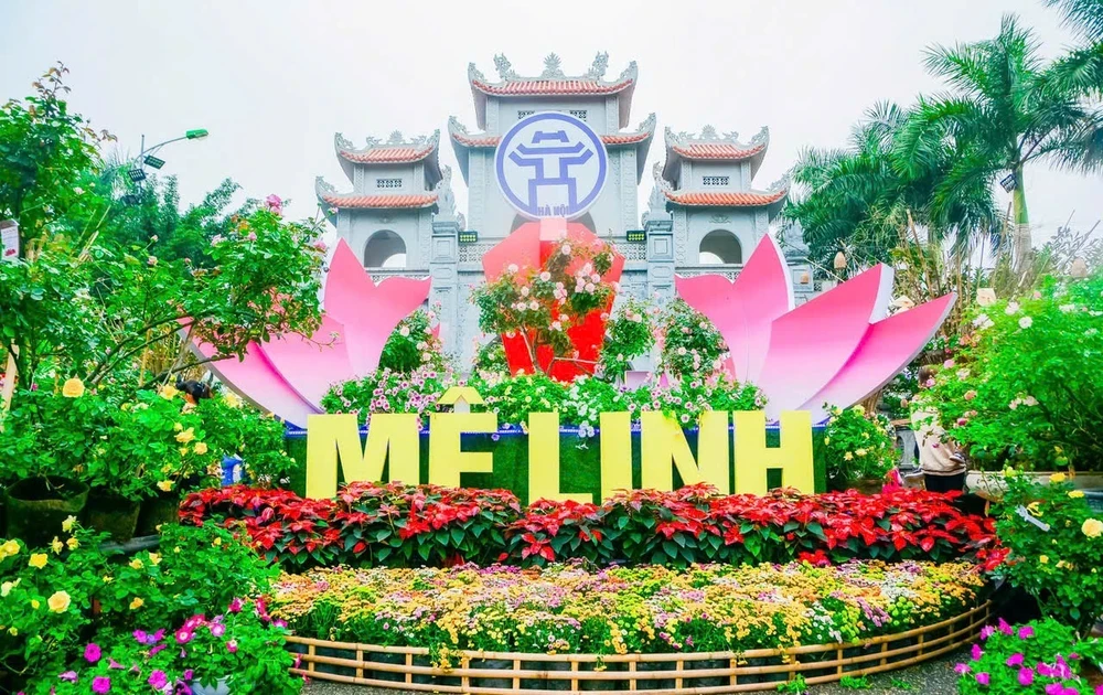 Festival hoa Mê Linh