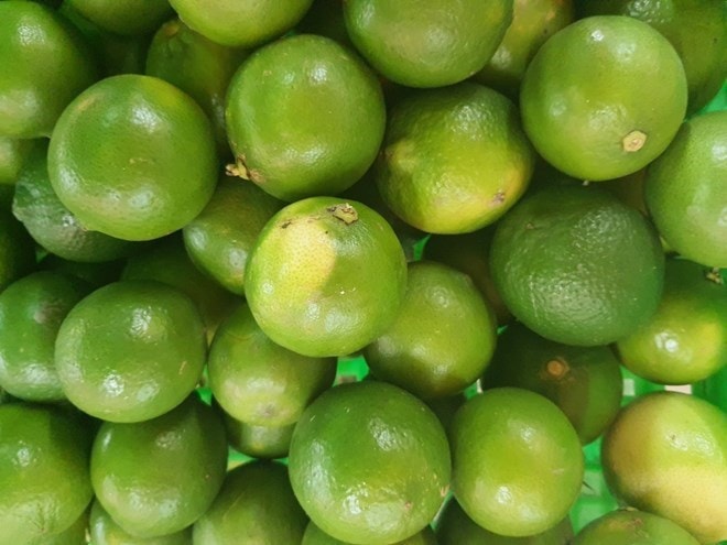5 lợi ích khi thêm chanh vào chế độ ăn