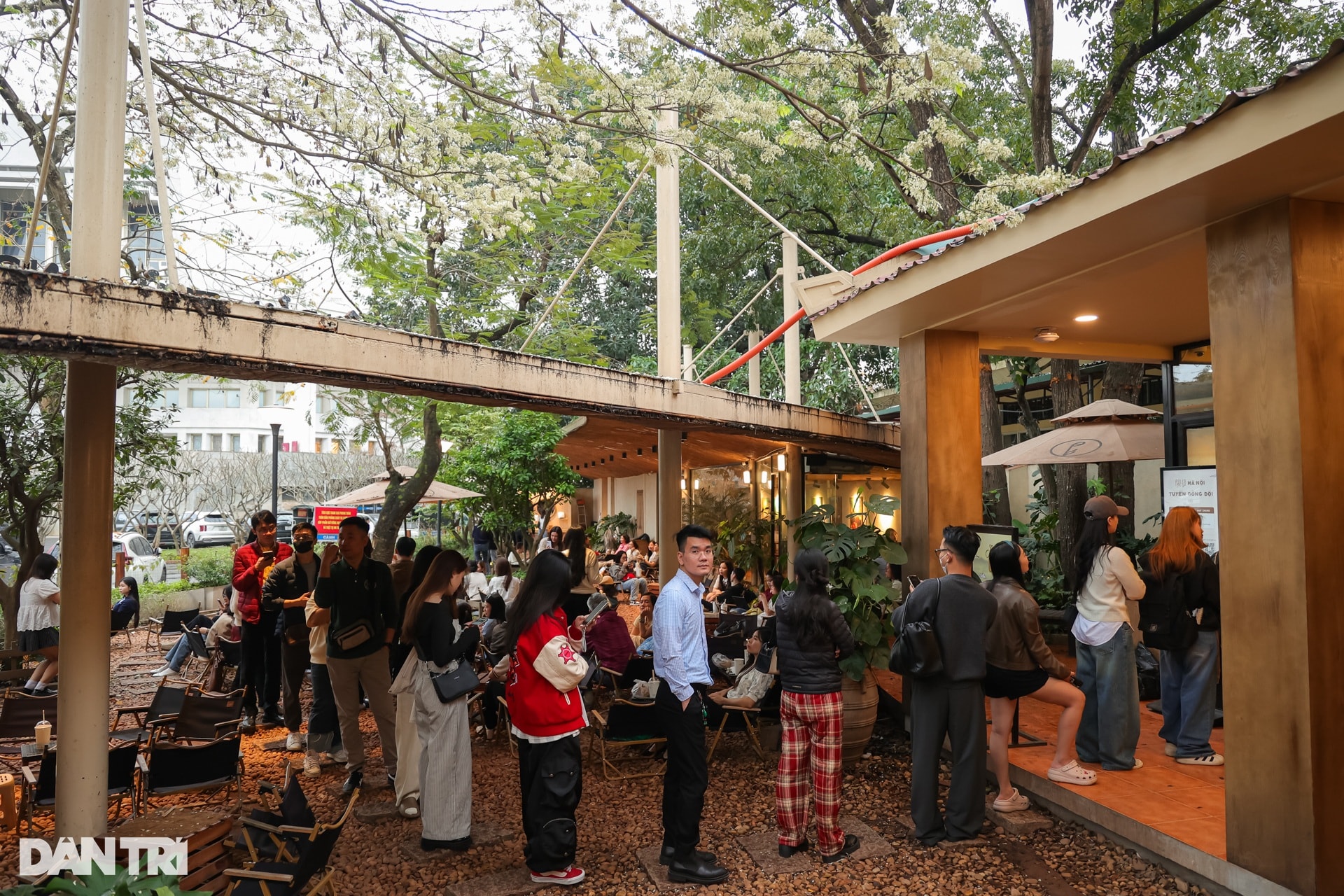 Giới trẻ chen chân xếp hàng, check-in cây hoa sưa hot nhất Hà Nội - 4 Giới trẻ chen chân xếp hàng, check-in cây hoa sưa hot nhất Hà Nội - 4