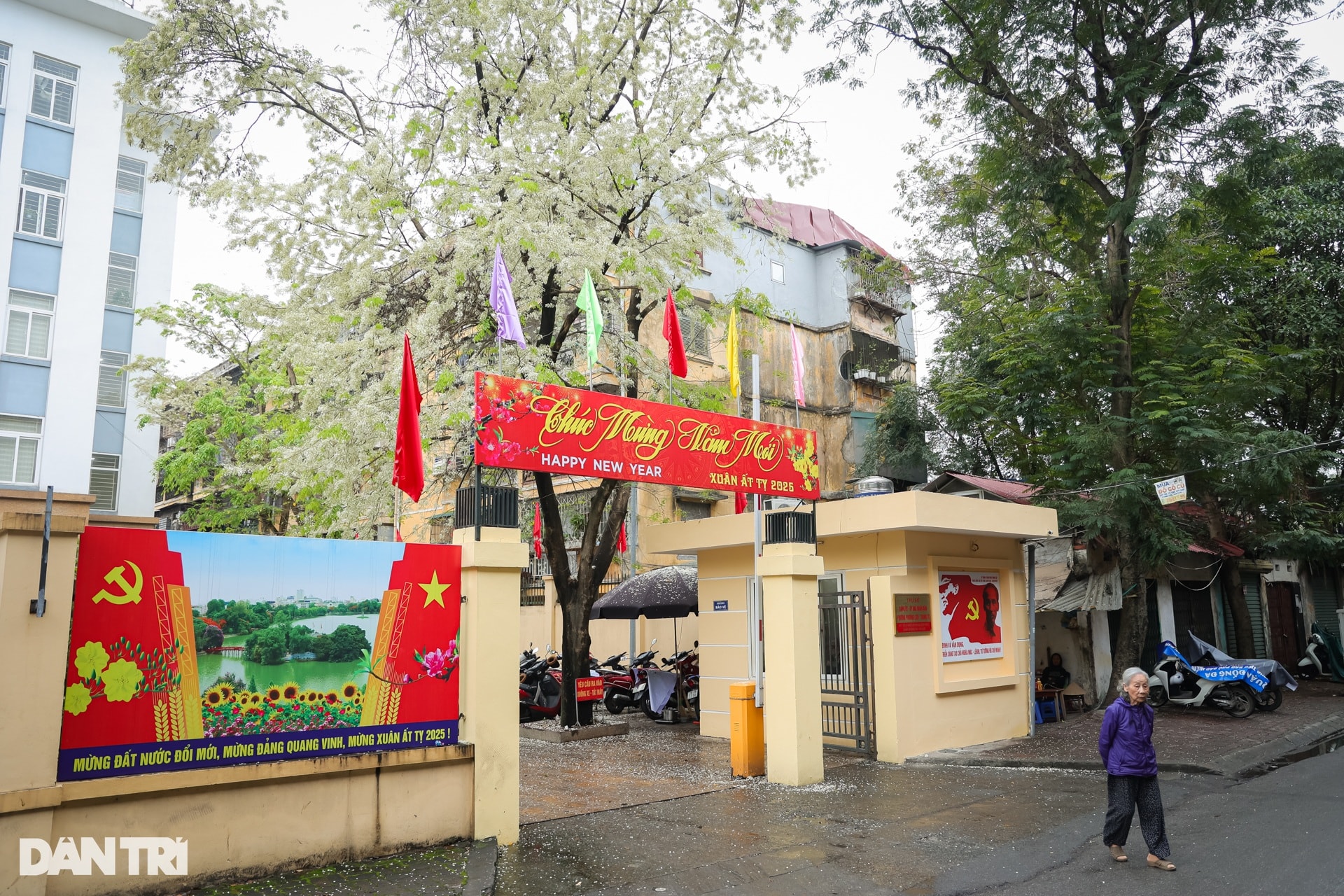 Giới trẻ chen chân xếp hàng, check-in cây hoa sưa hot nhất Hà Nội - 11 Giới trẻ chen chân xếp hàng, check-in cây hoa sưa hot nhất Hà Nội - 11
