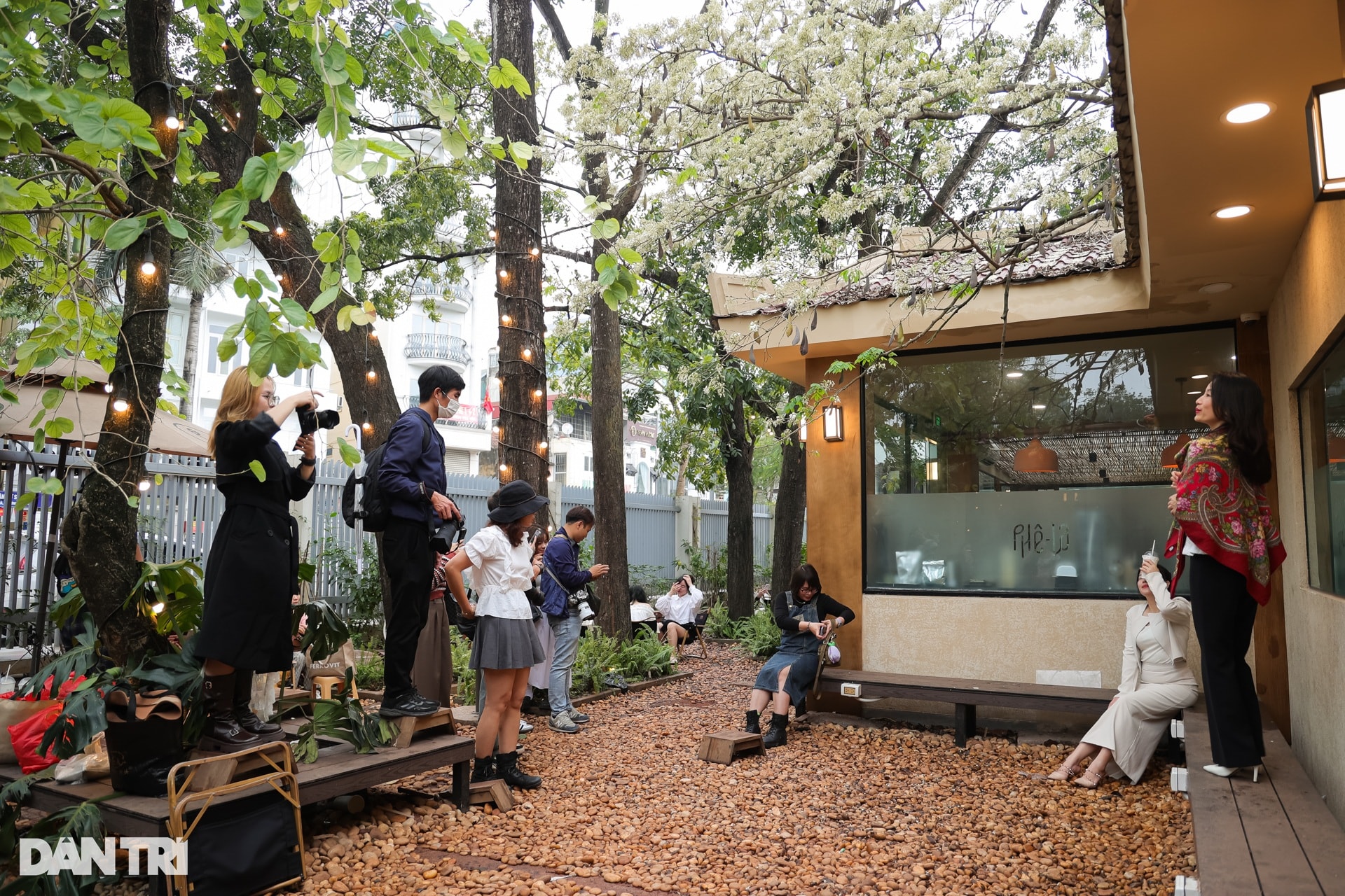 Giới trẻ chen chân xếp hàng, check-in cây hoa sưa hot nhất Hà Nội - 5 Giới trẻ chen chân xếp hàng, check-in cây hoa sưa hot nhất Hà Nội - 5
