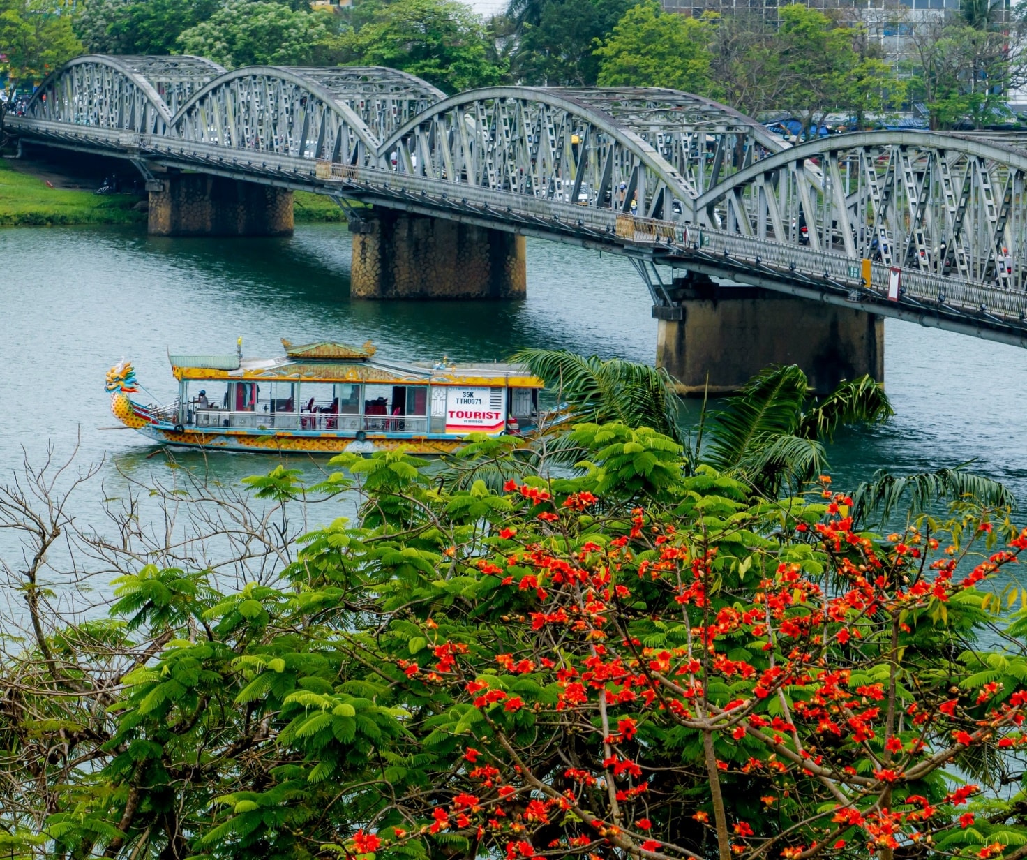 Ngắm nhìn vẻ đẹp của hoa gạo đỏ rực ở xứ Huế - 14
