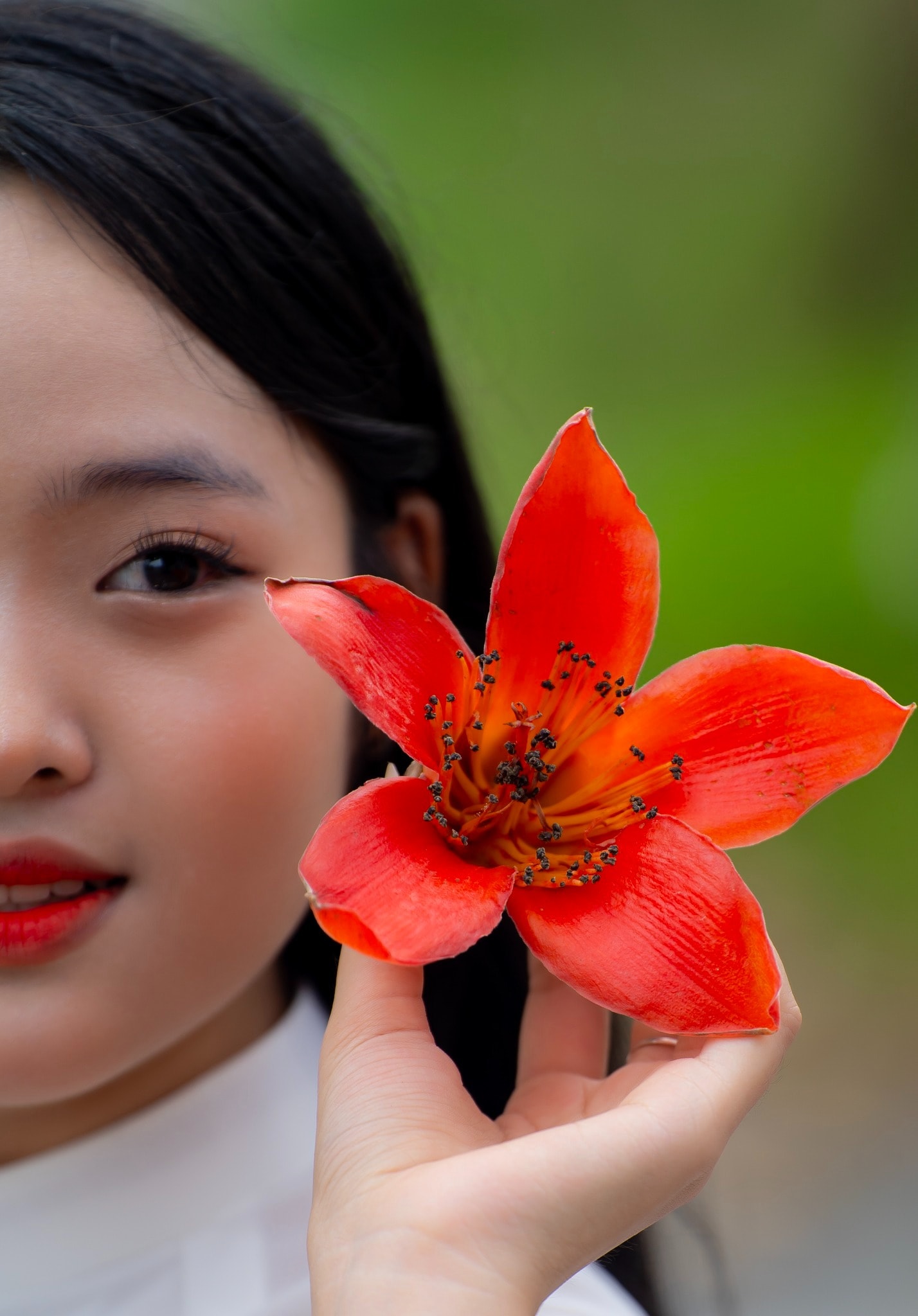 Ngắm nhìn vẻ đẹp của hoa gạo đỏ rực ở xứ Huế - 7