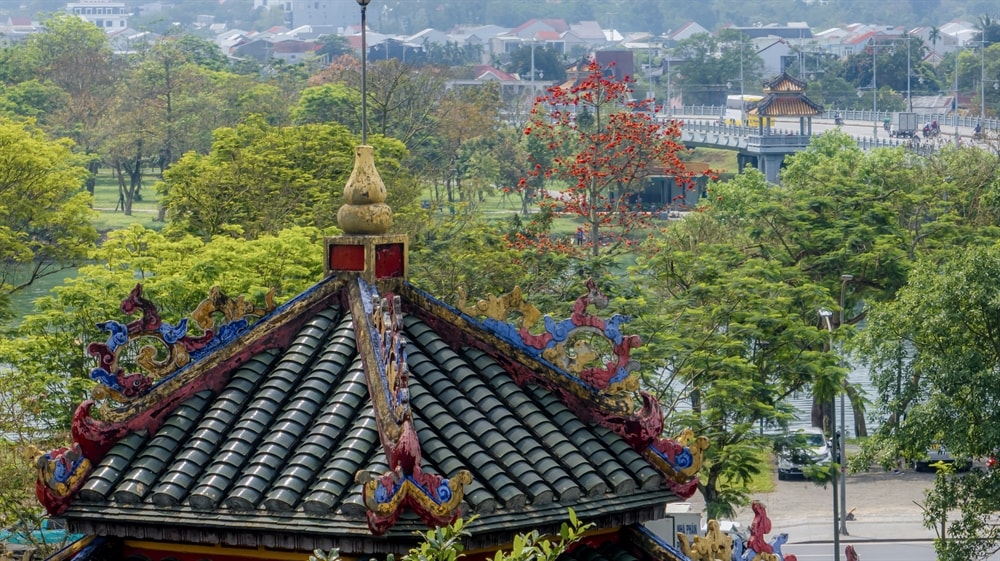 Ngắm nhìn vẻ đẹp của hoa gạo đỏ rực ở xứ Huế - 12