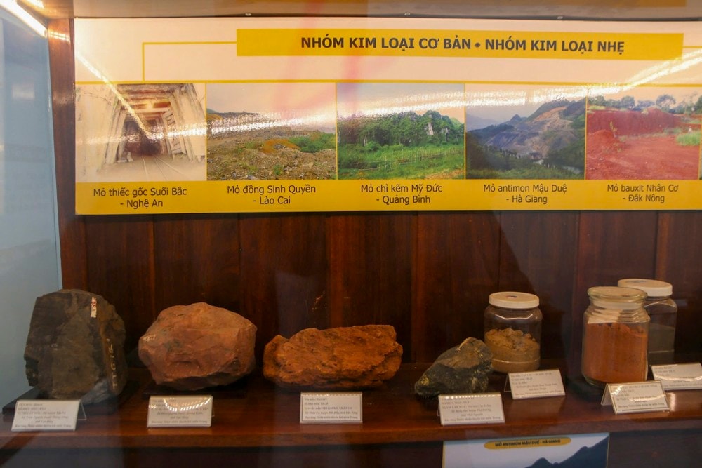 bao-tang-thien-nhien-23.jpg