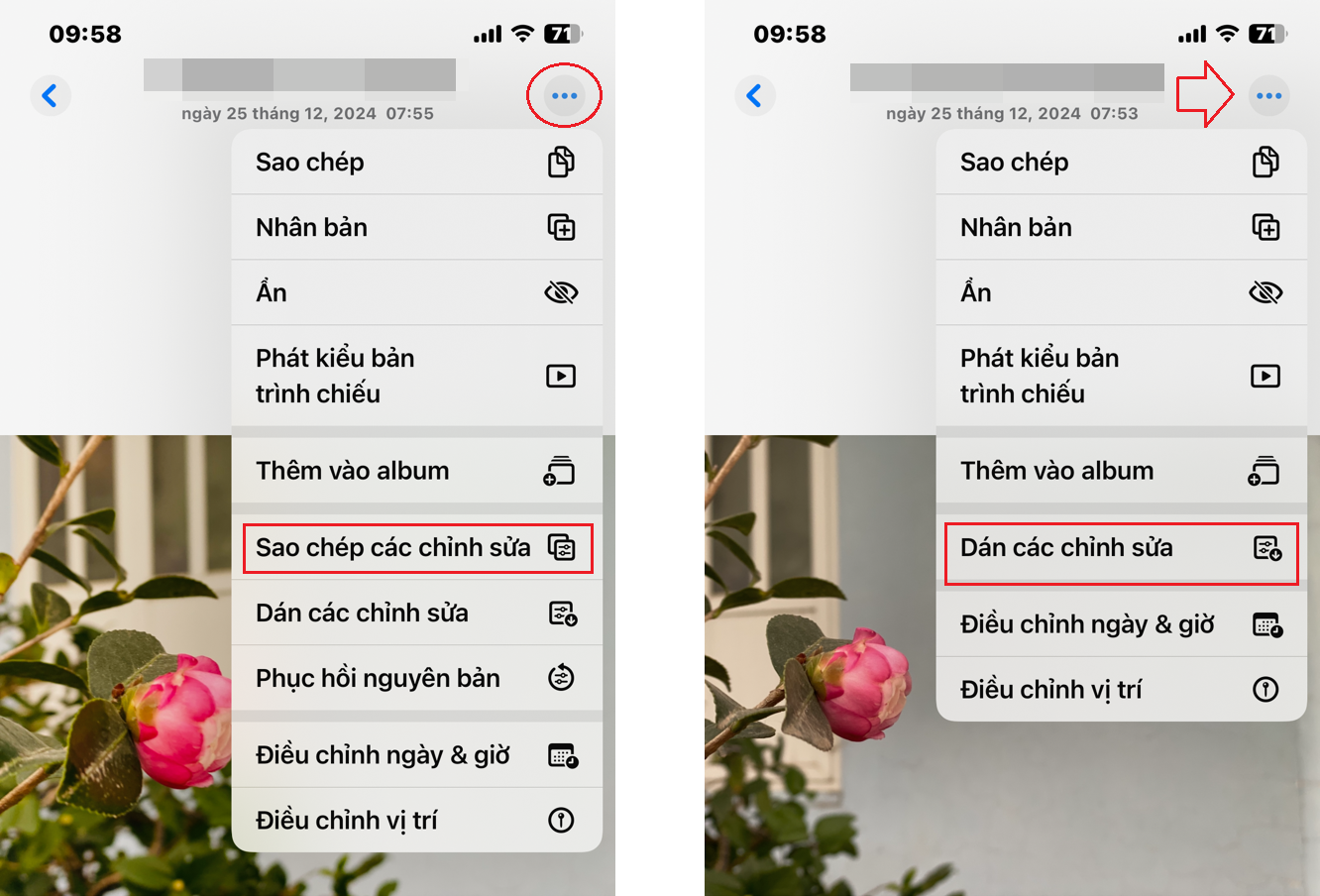 meo iPhone 4.png