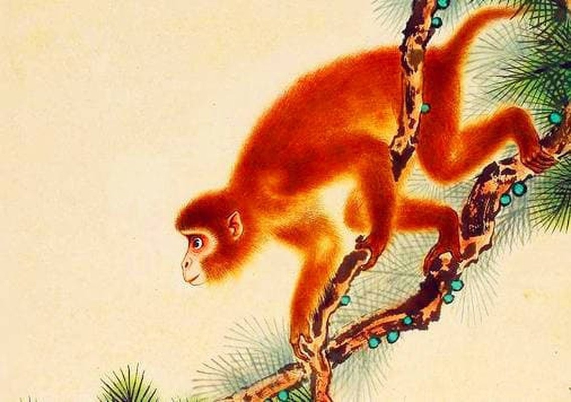 15 ngày tới, 3 con giáp vượng lộc, mở mắt là có tiền - Hình 5 15 ngay toi, 3 con giap vuong loc, mo mat la co tien-Hinh-5