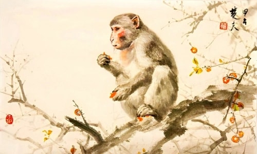 tử vi tuổi Thân - Ngôi Sao