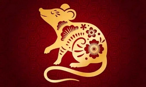tuổi Tý - Ngôi Sao