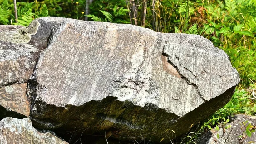 Tảng đá gneis Watersmeet ở Michigan. (Nguồn: Science News)